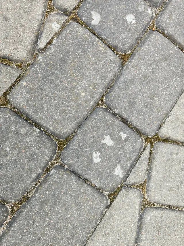 Zabrudzone fugi kostki brukowej przed myciem