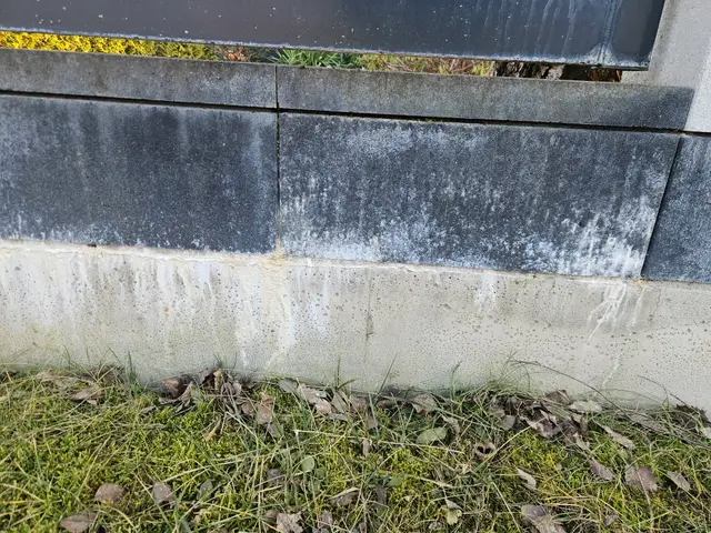 Zabrudzony murek i ogrodzenie przed czyszczeniem